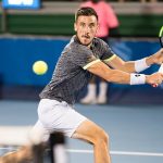 Harrison Falls to Dzumhur